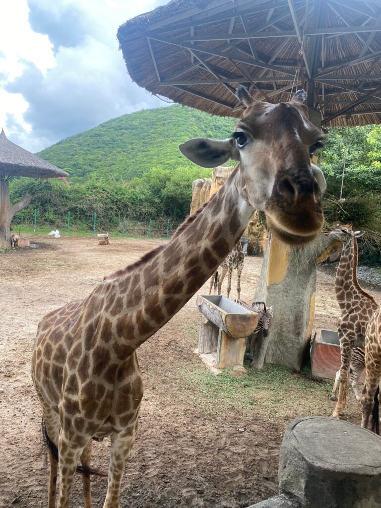 туры во вьетнам